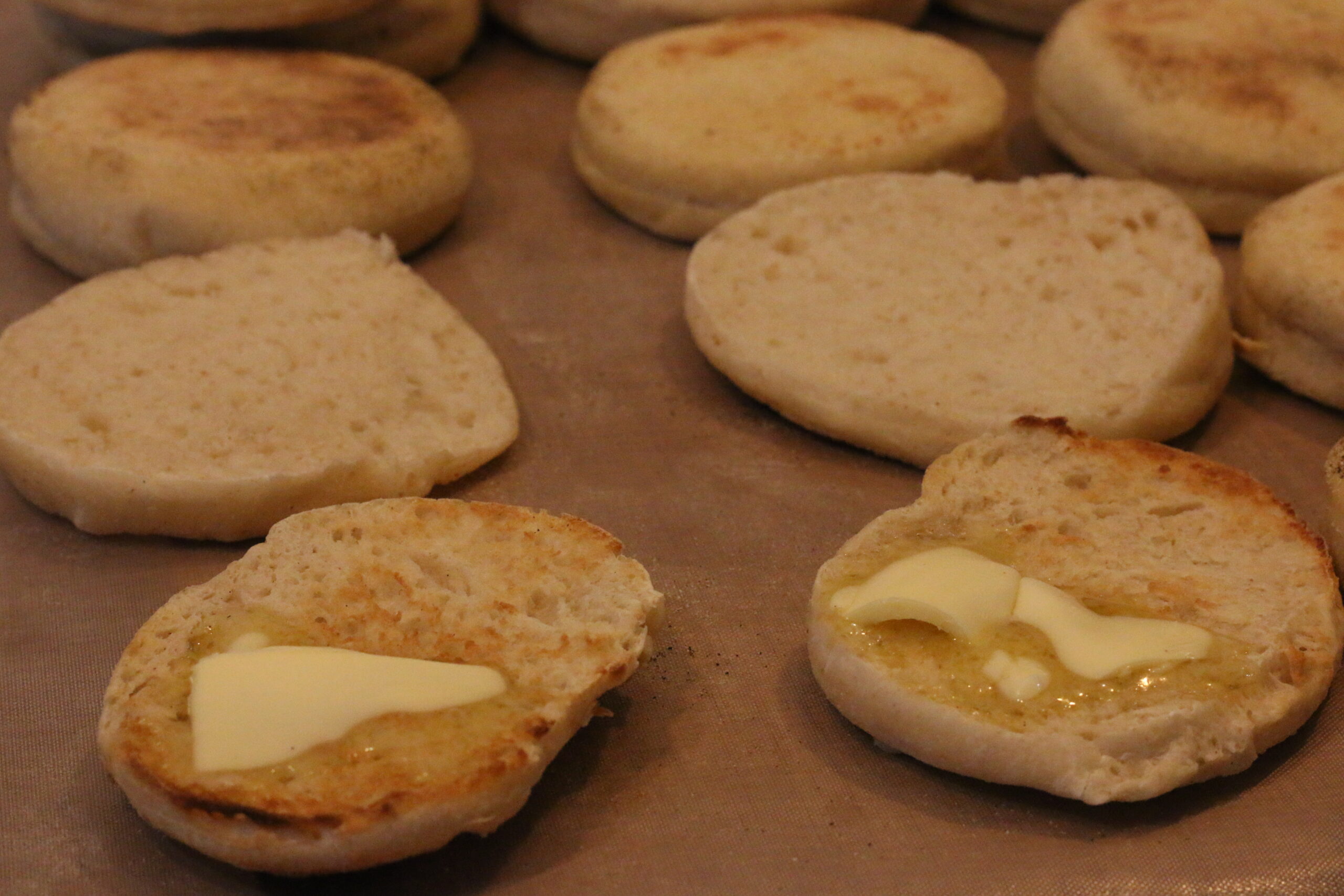 Englische Muffins (Toasties)